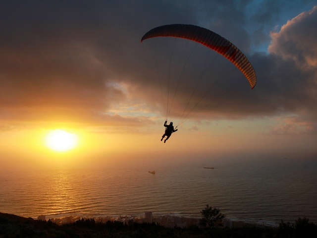 Shark & Paraglide TRF - sharkdiving.co